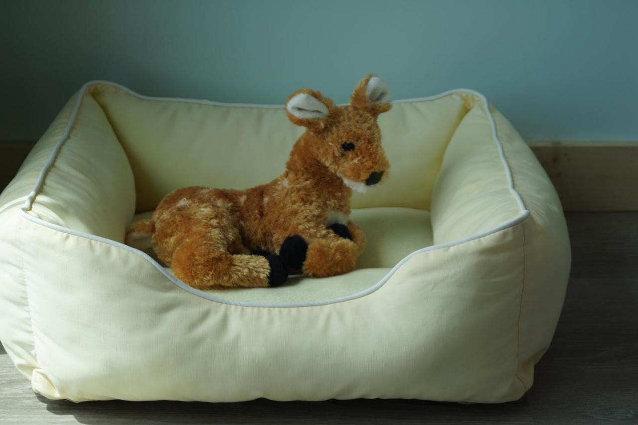 ビッグ・パイン・キー Deer Run On The Atlantic Bed & Breakfast エクステリア 写真