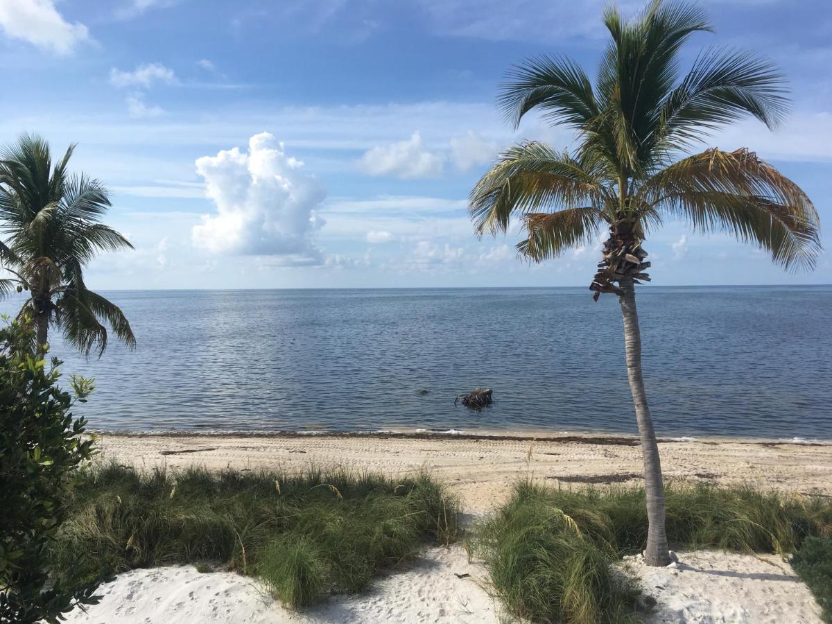 ビッグ・パイン・キー Deer Run On The Atlantic Bed & Breakfast エクステリア 写真